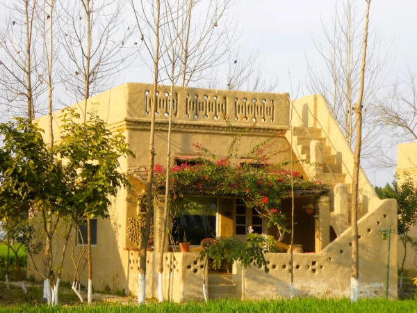 Amritsar Bedroom - Image 5