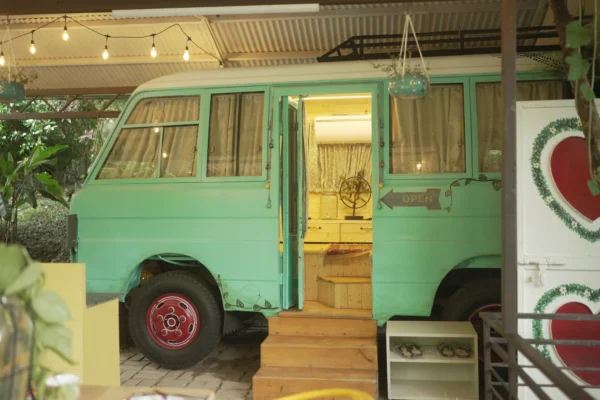 Dehradun Amazon Bus - Image 3