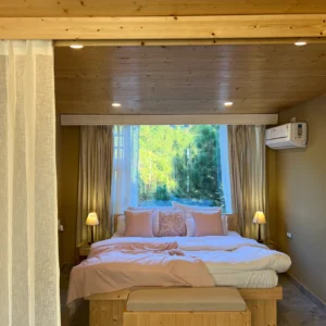 Palampur Superior Style I