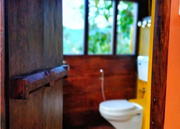 Chikmagalur Cottage Sunbird - Image 7