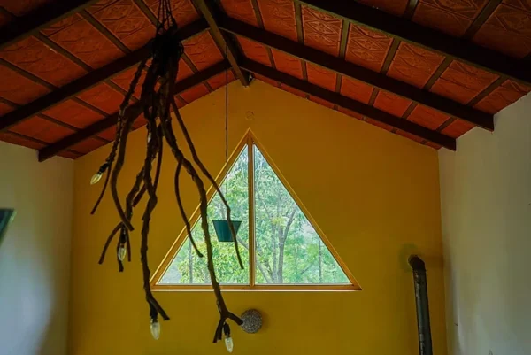 Chikmagalur Cottage Robin - Image 9
