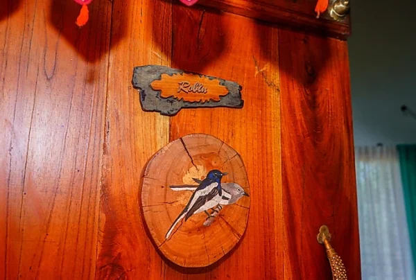 Chikmagalur Cottage Robin - Image 8