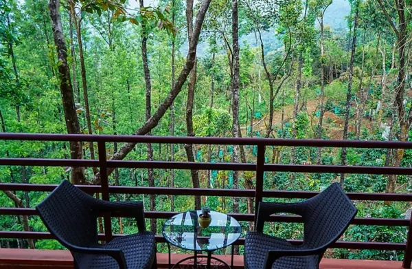 Chikmagalur Cottage Robin - Image 11