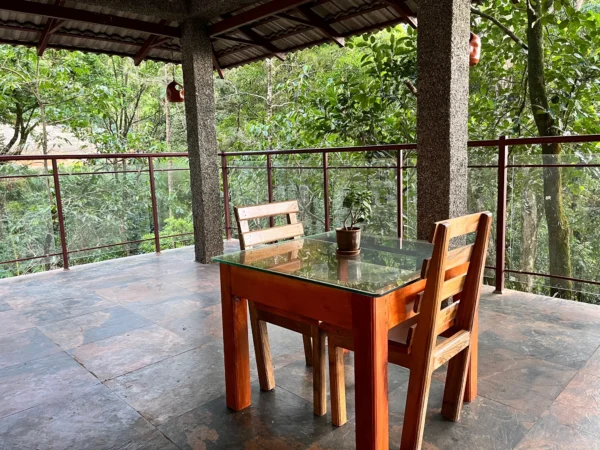Chikmagalur Cottage Scarlet - Image 6