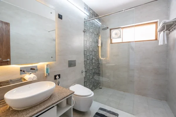 Bajkhet Premium Room - Image 9