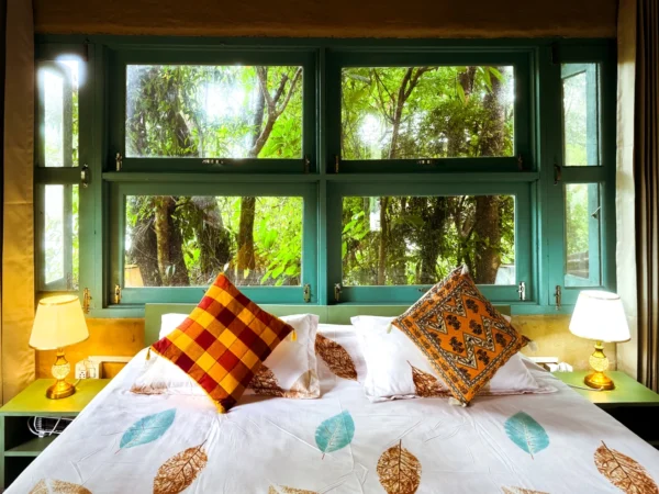 Mountain View Room (Andretta) - Image 3