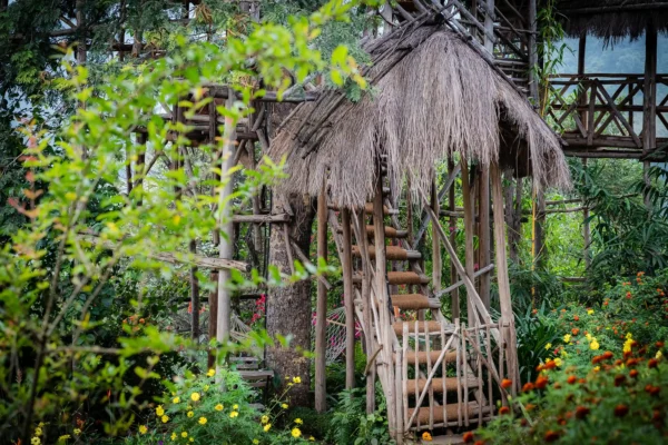 Munnar Erumadam Treehouse - Image 3
