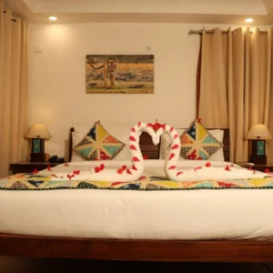 seraibagh Mountain View Room