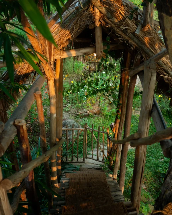 Munnar Erumadam Treehouse - Image 10