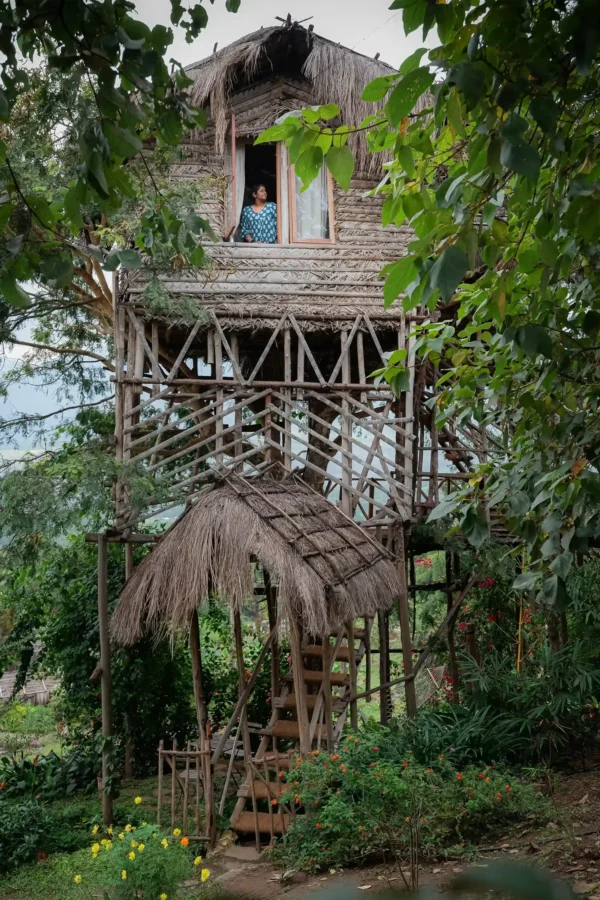 Munnar Erumadam Treehouse - Image 2