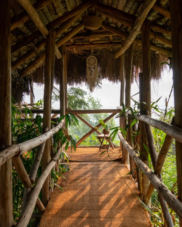 Munnar Erumadam Treehouse - Image 11