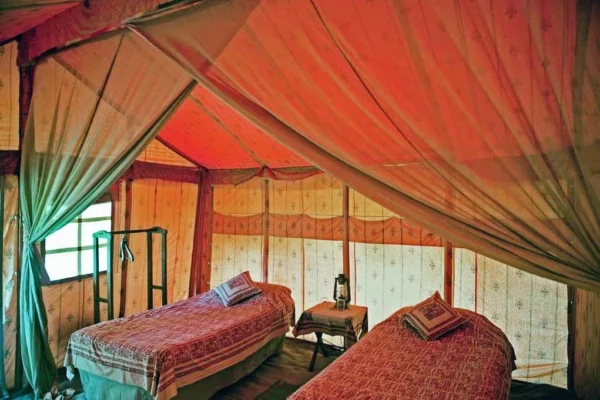 Glamps (Sariska) - Image 2