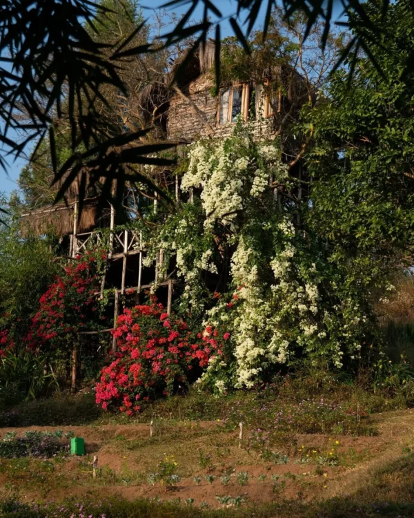 Munnar Erumadam Treehouse - Image 4