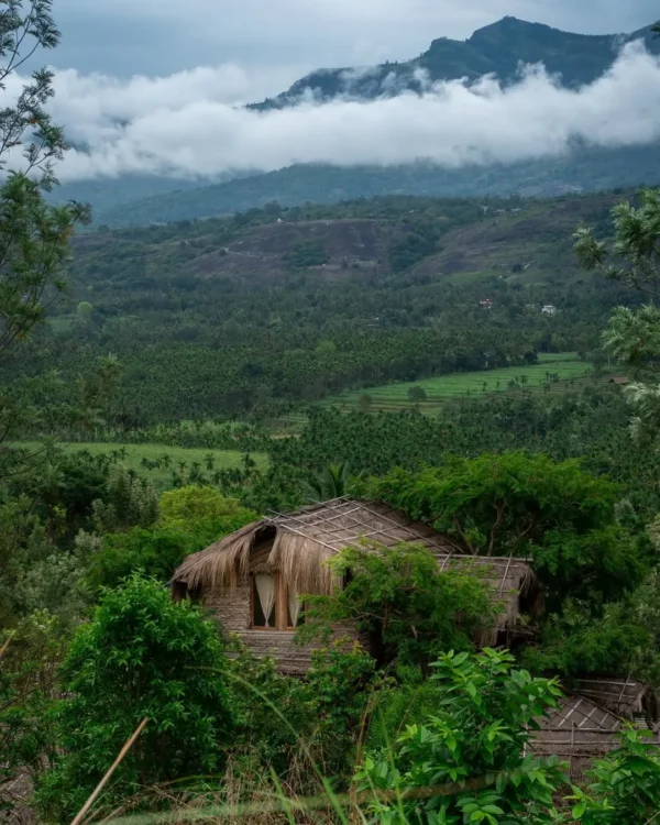 Munnar Erumadam Treehouse - Image 12