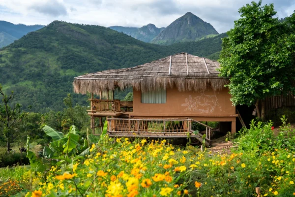 Munnar Doe Cottage