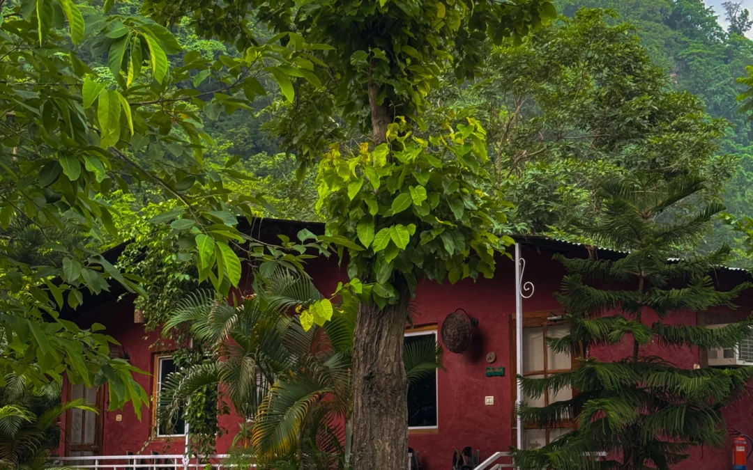 Jaadooghar Maatre Yoga Retreat