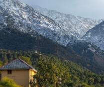 Palampur