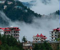 Shimla