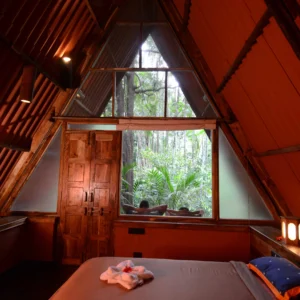 Sindhudurg Cottage 1