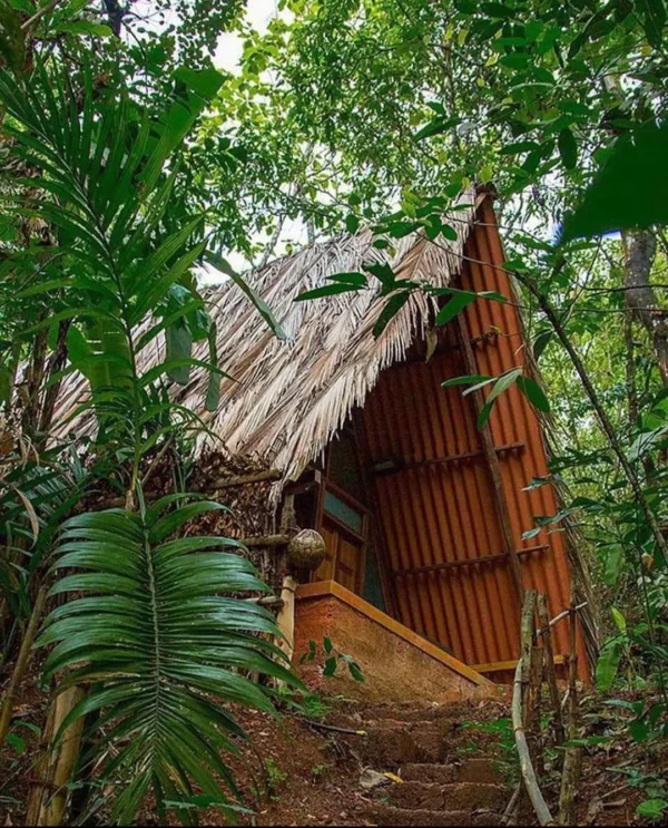 Sindhudurg Cottage 1 - Image 4
