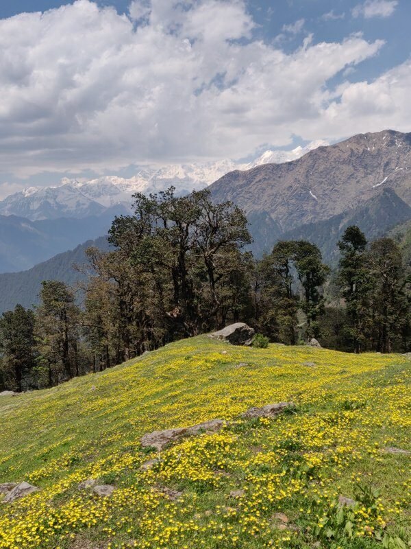 Tehri