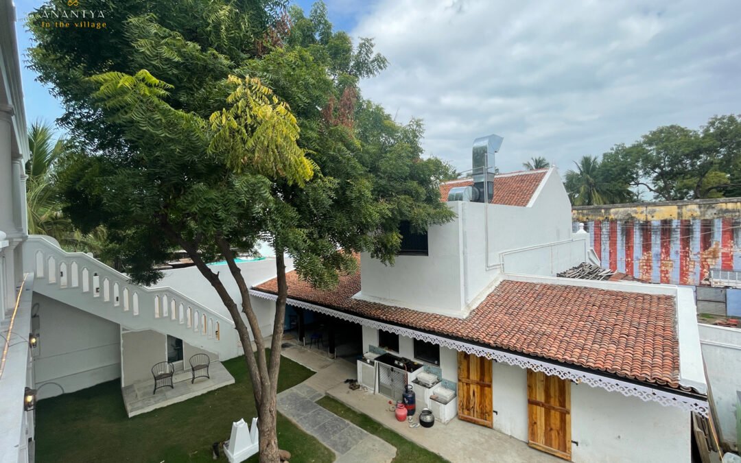 Jaadooghar Village Grove, Alwarthirunagari, Tamil Nadu